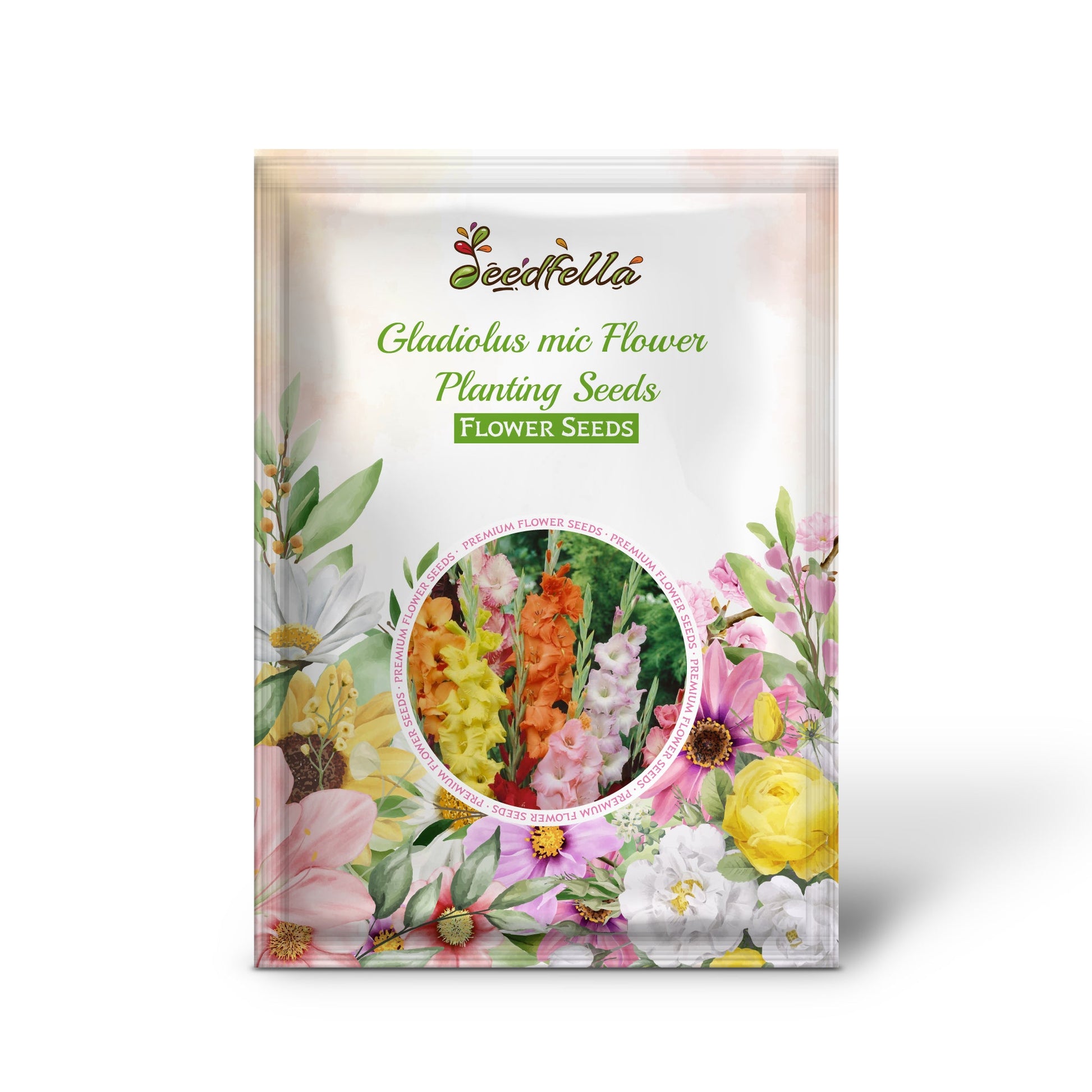 Gladiolus mic Flower Planting Seeds for Vibrant Garden Blooms