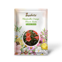 Mandevilla Orange Flower Seeds for Vibrant Garden Planting