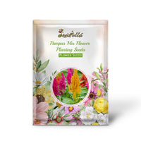Pampas Mix Flower Planting Seeds - Vibrant Blends for Stunning Gardens