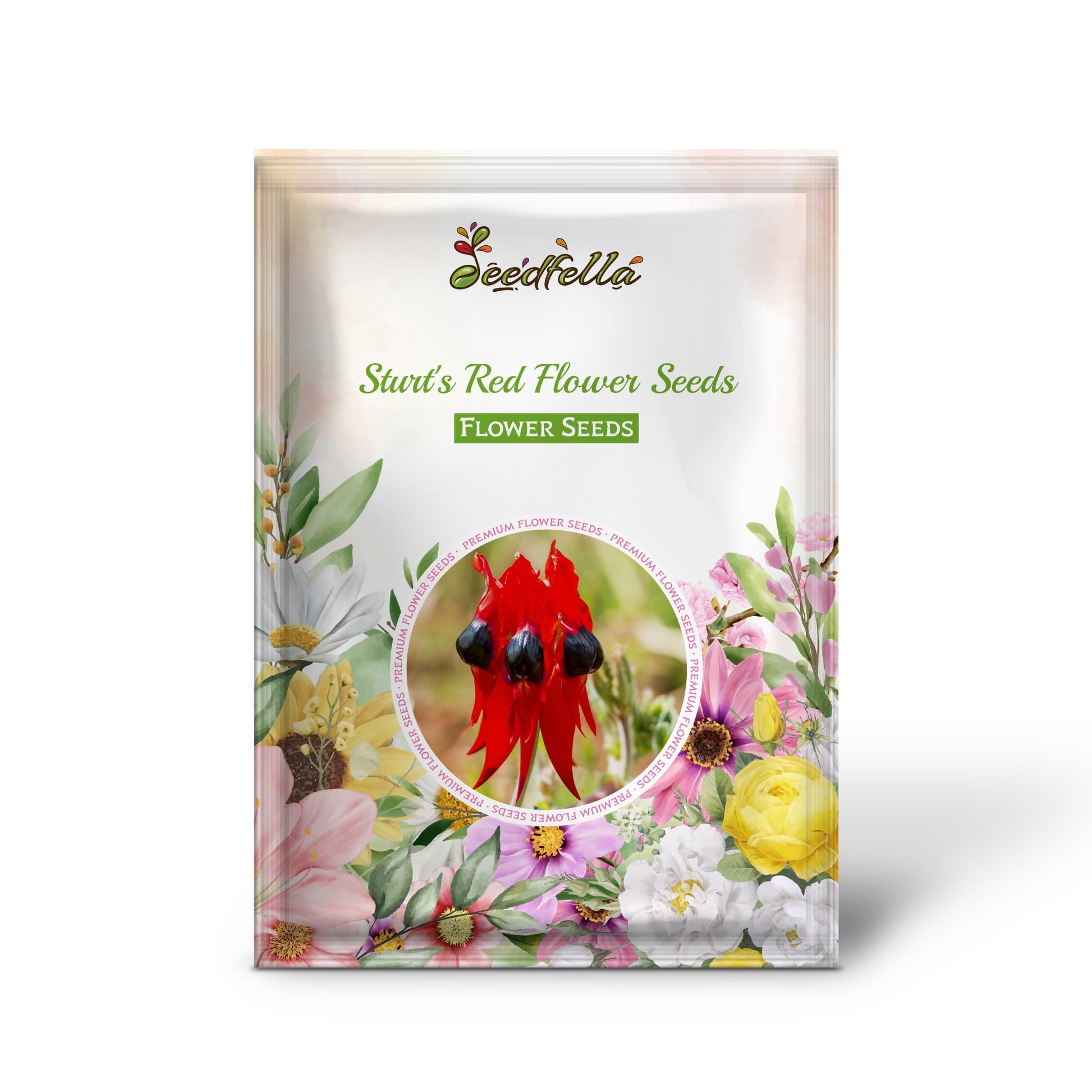 Sturt's Red Flower Seeds for Planting - Vibrant Blooms for Your Garden