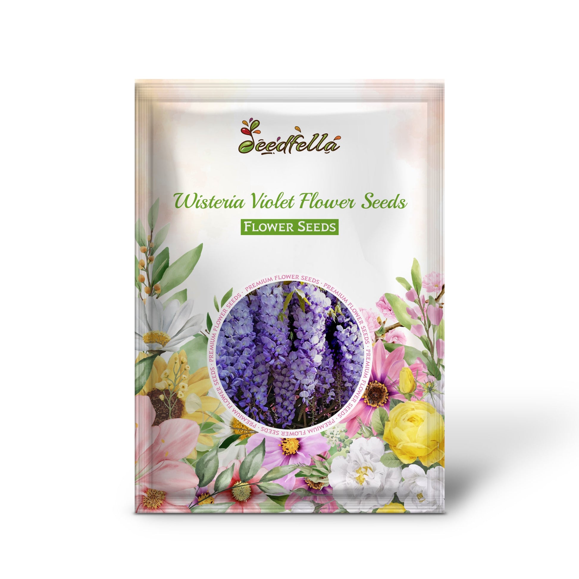Wisteria Violet Flower Seeds for Planting  Seed for Beautifully Cascading Blooms in Your Garden