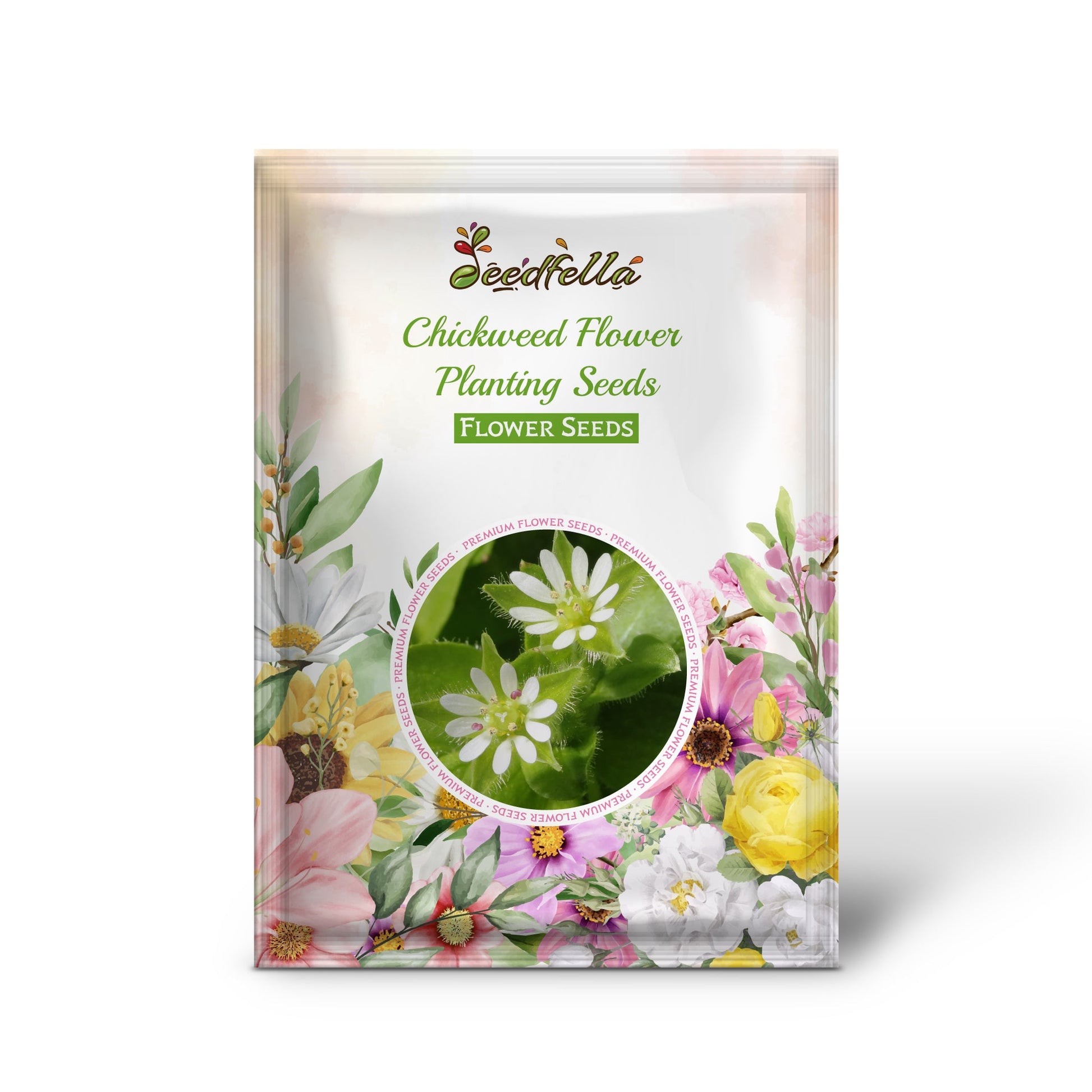 Chickweed Flower Planting Seeds  Perfect for Easy Gardening