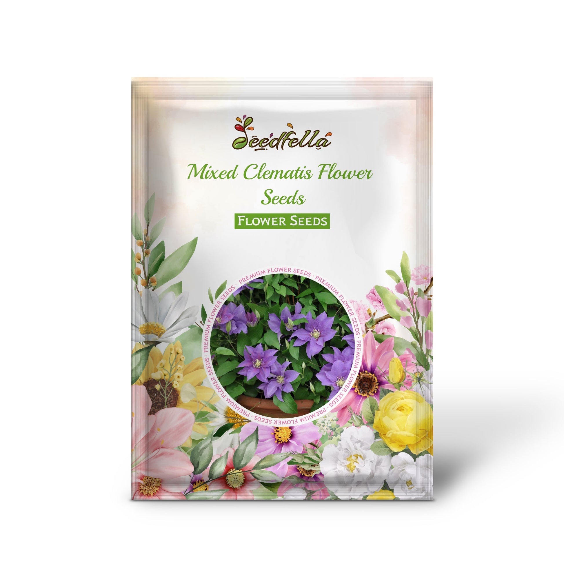 Mixed Clematis Flower Seeds for Planting - Enhance Your Garden's Vertical Beauty