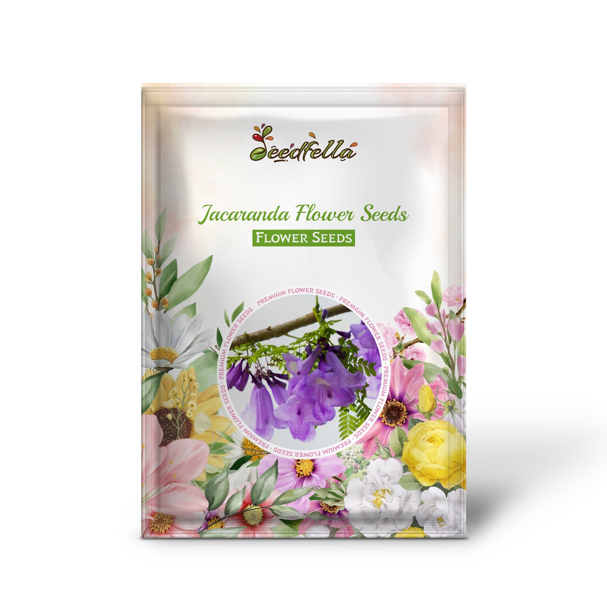 Jacaranda Flower Seeds for Planting  Create a Vibrant Garden