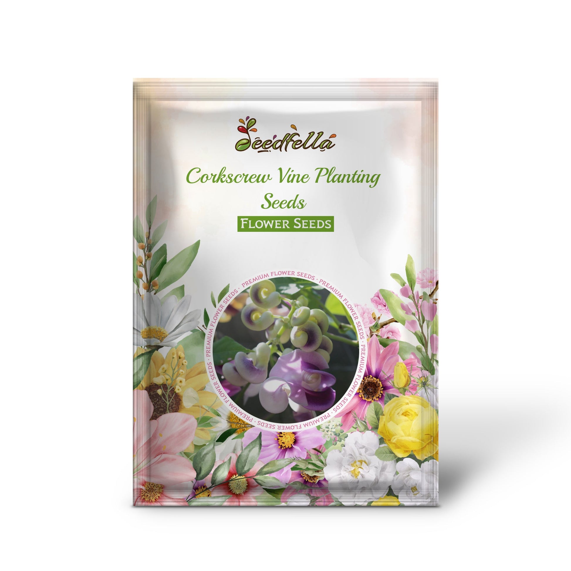Corkscrew Vine Planting Seeds for Stunning Climbing Blooms