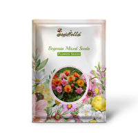 Begonia Mixed Seeds for Planting  Colorful Annual Flowers