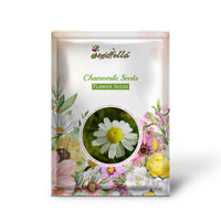 Chamomile Seeds for Planting - Grow Your Own Chamomile Flowers