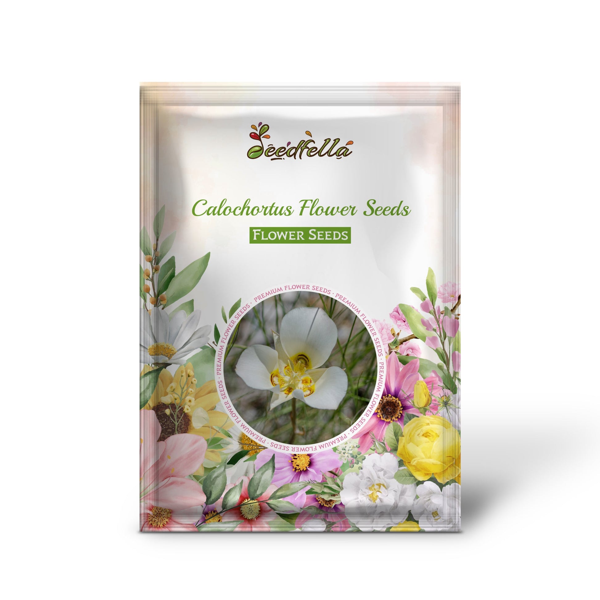 Calochortus Flower Seeds for Planting | Unique and Beautiful Blooms