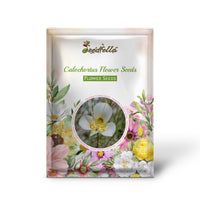 Calochortus Flower Seeds for Planting | Unique and Beautiful Blooms