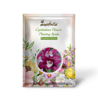 Cymbidium Flower Planting Seeds for Stunning Orchids