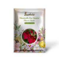 Mandevilla Red Sanderi Flower Seeds for Planting  Vibrant Climbing Blooms