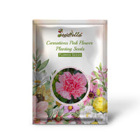 Carnations Pink Flower Planting Seeds for a Colorful Garden