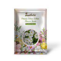 Petunia Wave White Flower Seeds for Planting  Perfect for Vibrant Gardens