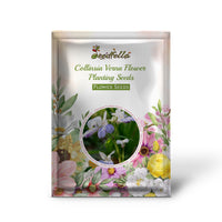 Collinsia Verna Flower Planting Seeds - Vibrant Annual Seeds for Colorful Gardens