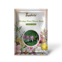 Bleeding Heart Flower Seeds for Planting