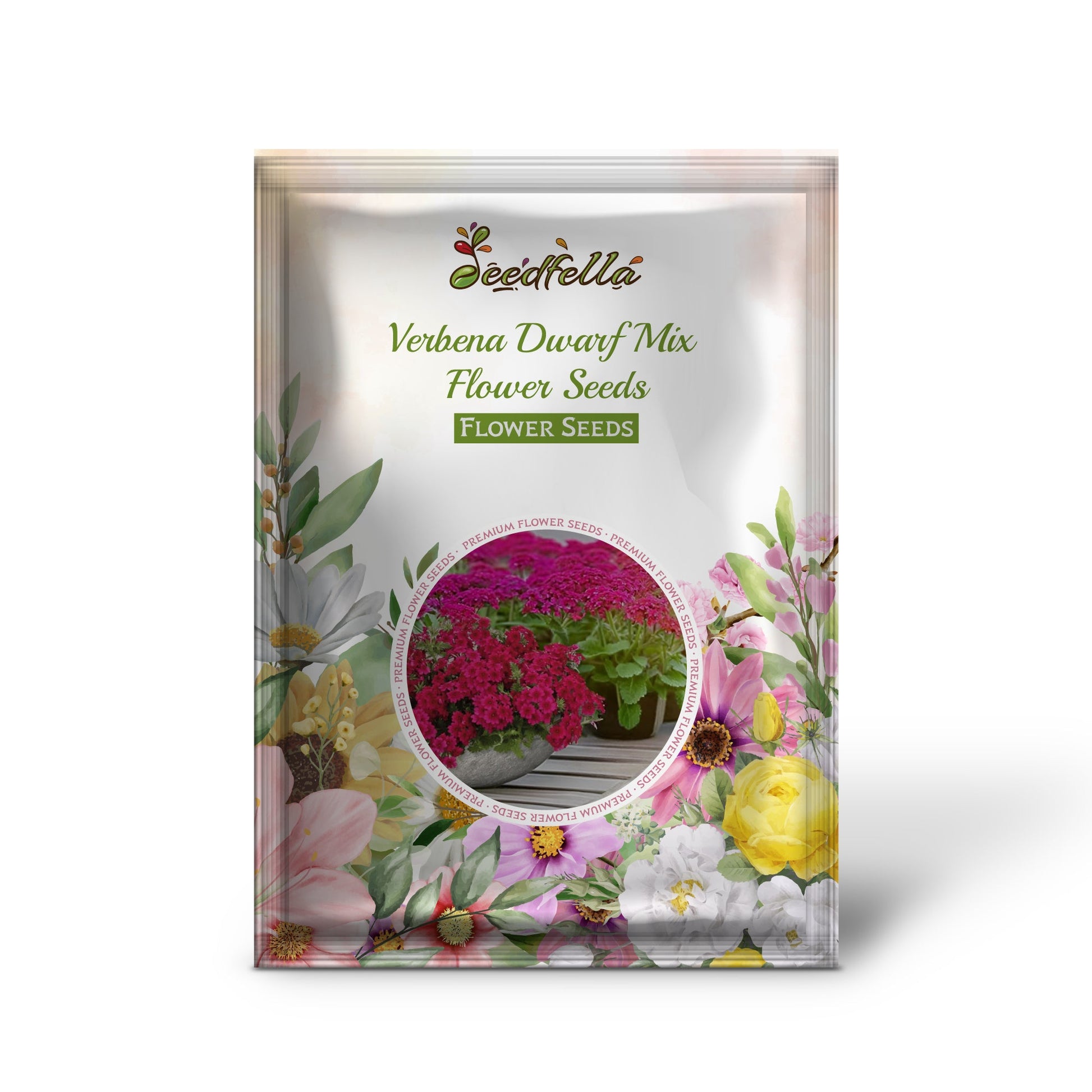 Verbena Dwarf Mix Flower Seeds for Planting  Vibrant Annual Blooms