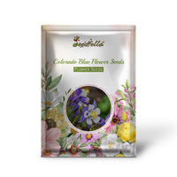 Colorado Blue Flower Seeds for Planting  Brighten Your Garden with Stunning Blooms