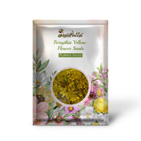 Forsythia Yellow Flower Seeds for Planting - Vibrant Spring Blooms