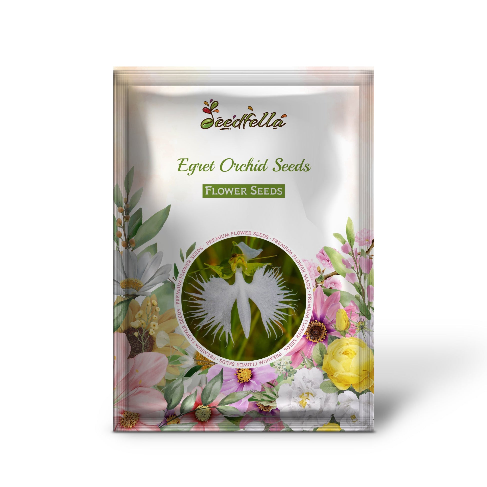 Egret Orchid Seeds for Planting  Create a Stunning Garden Display