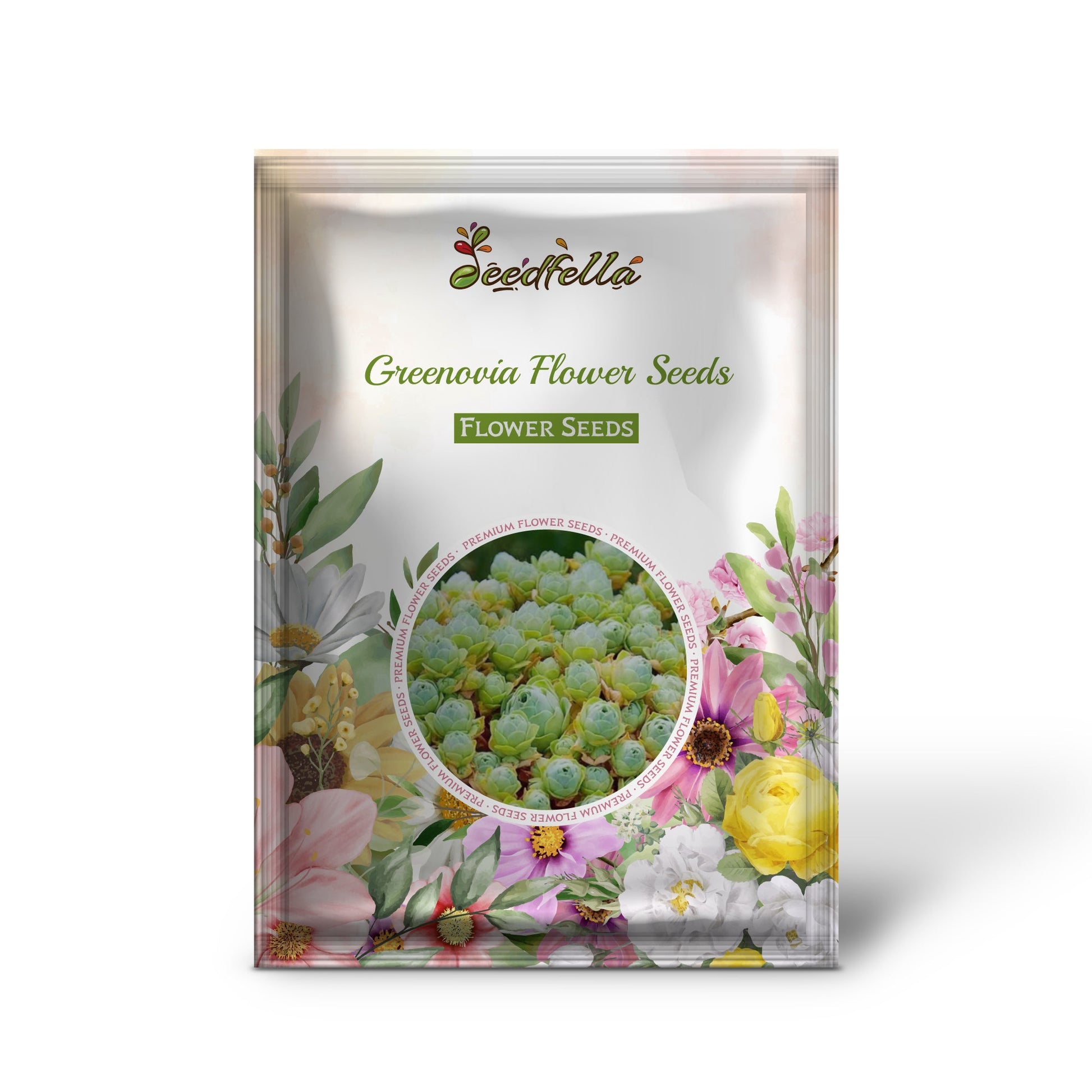 Greenovia Flower Seeds for Planting - Gorgeous Perennial Blooms for Your Garden