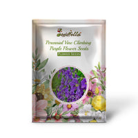 Perennial Vine Climbing Purple Flower Seeds for Vibrant Garden Planting