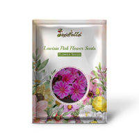 Lewisia Pink Flower Seeds for Planting | Colorful Perennial Blooms