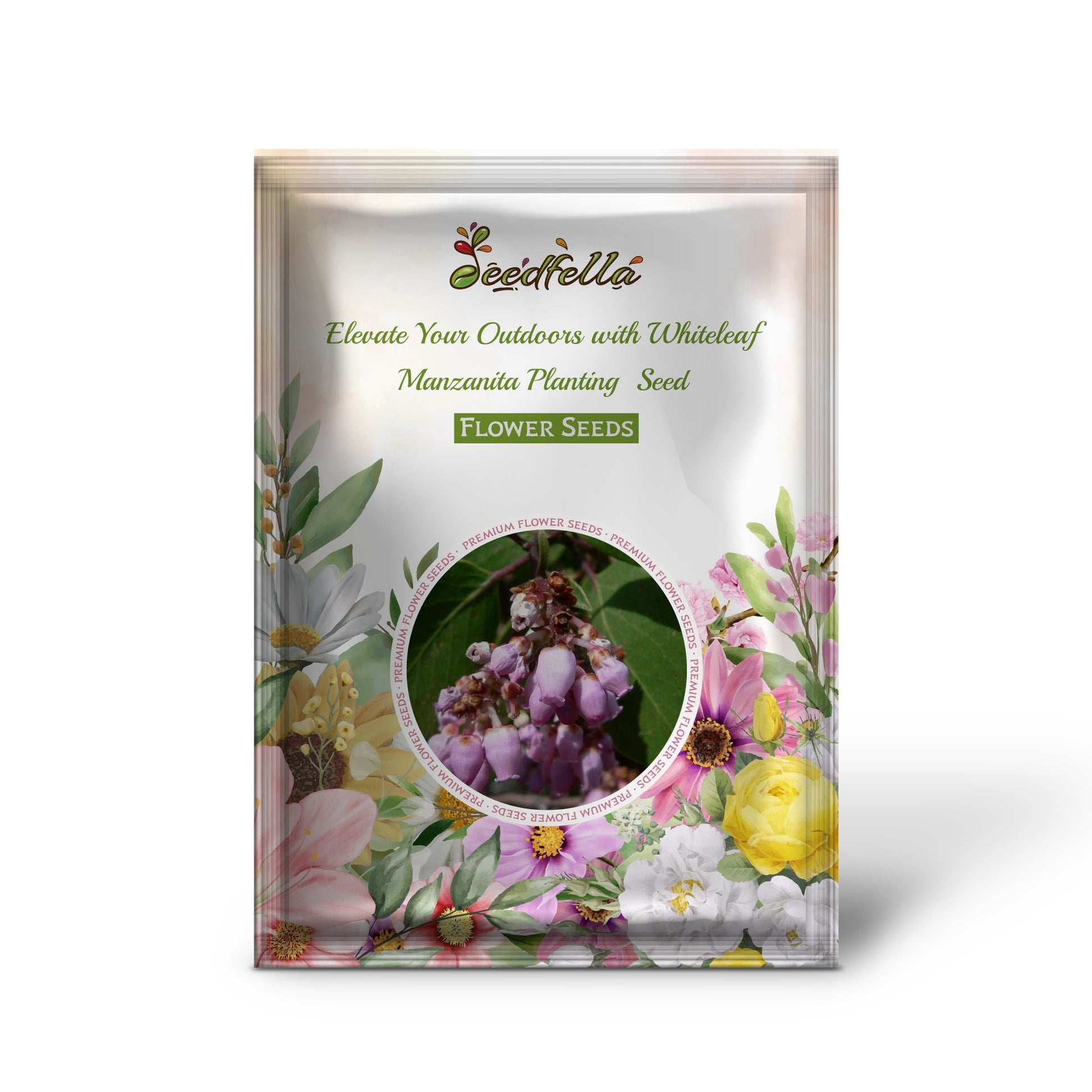 Elevate Your Outdoors with Whiteleaf Manzanita Planting  Seed for Stunning Shrubbery