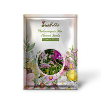 Phalaenopsis Mix Flower Seeds for Planting  Beautiful Orchid Variety