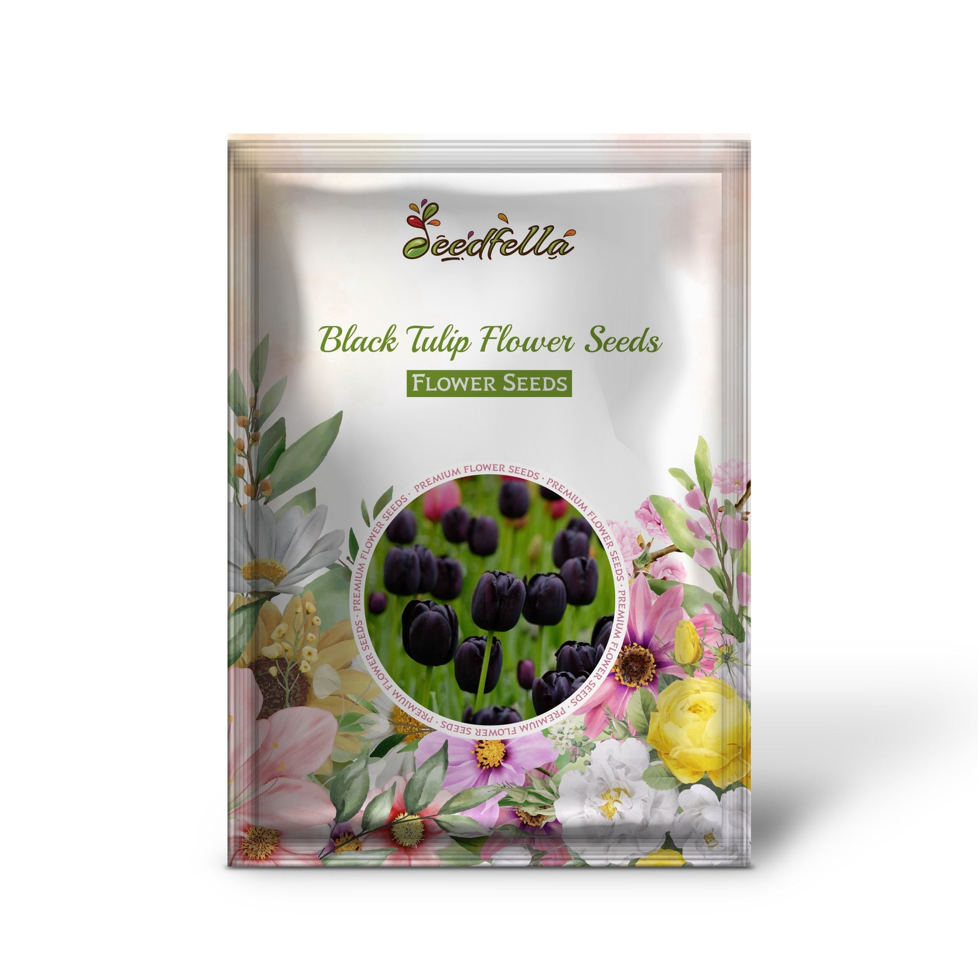 Black Tulip Flower Seeds for Planting