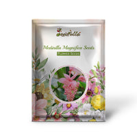 Medinilla Magnifica Seeds for Exotic Flower Planting