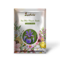 Iris Blue Flower Seeds for Planting - Stunning Perennial Blooms
