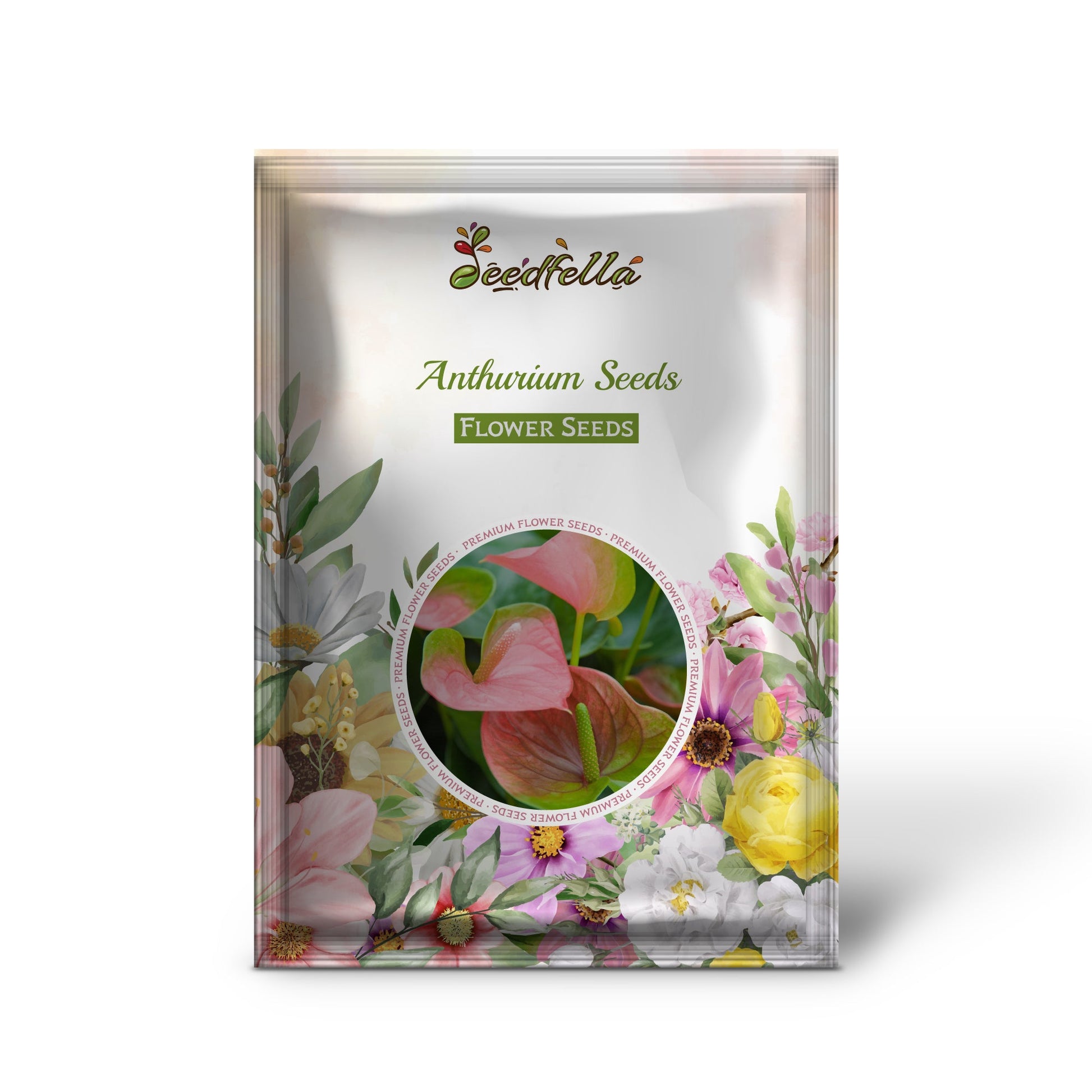 Anthurium Seeds for Vibrant Flowering Plants