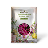 Clematis Red Flower Planting Seeds  Brighten Your Garden