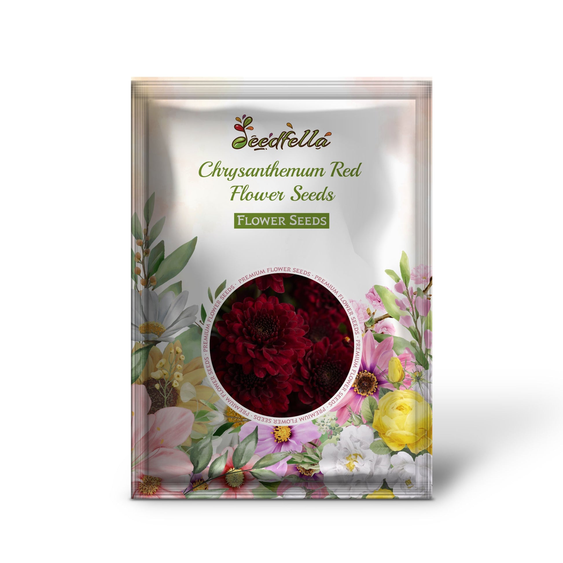 Chrysanthemum Red Flower Seeds for Planting | Perennial Blooms