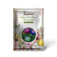 Lantana Mix Flower Planting Seeds for a Colorful Garden