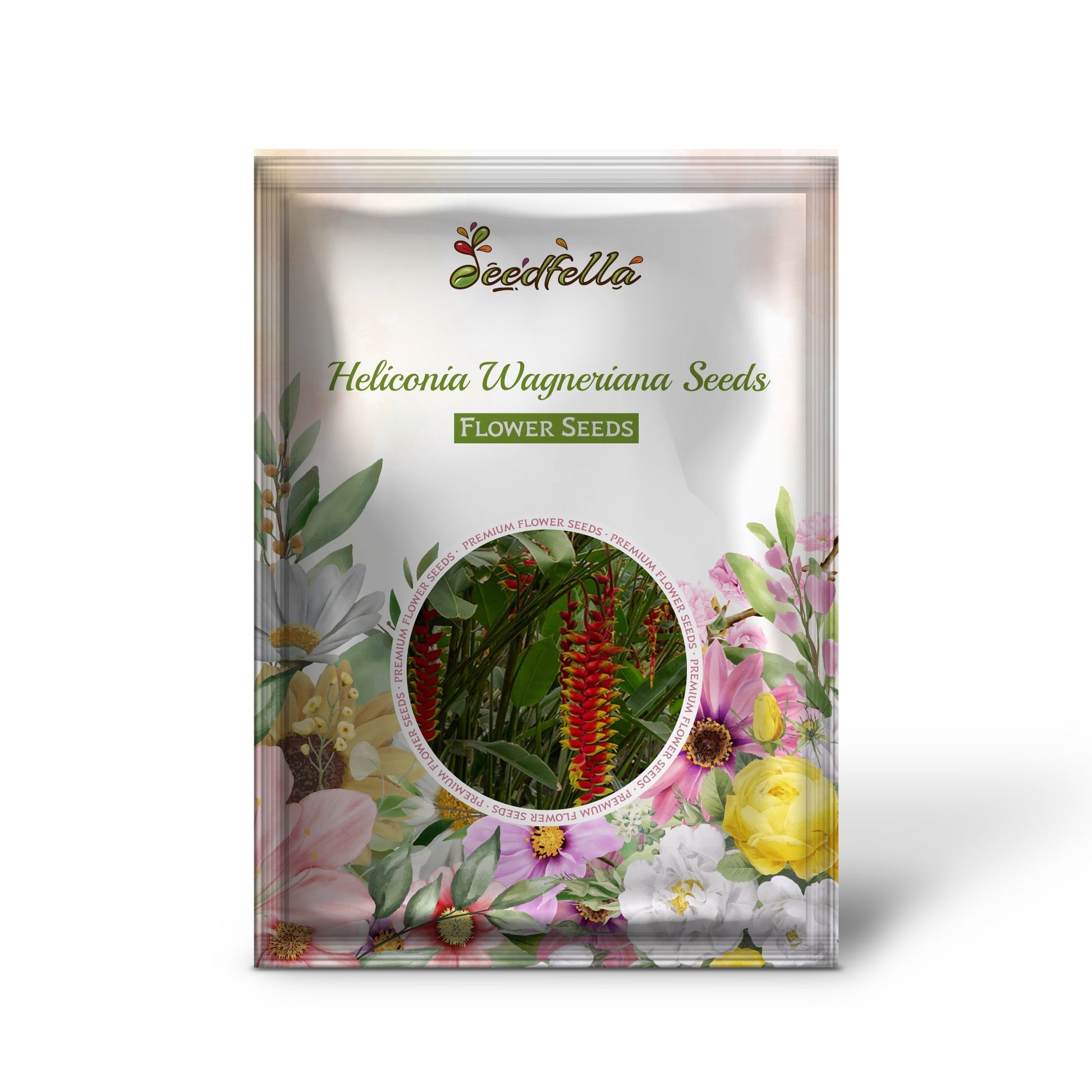 Heliconia Wagneriana Seeds for Tropical Planting  Vibrant Exotic Blooms