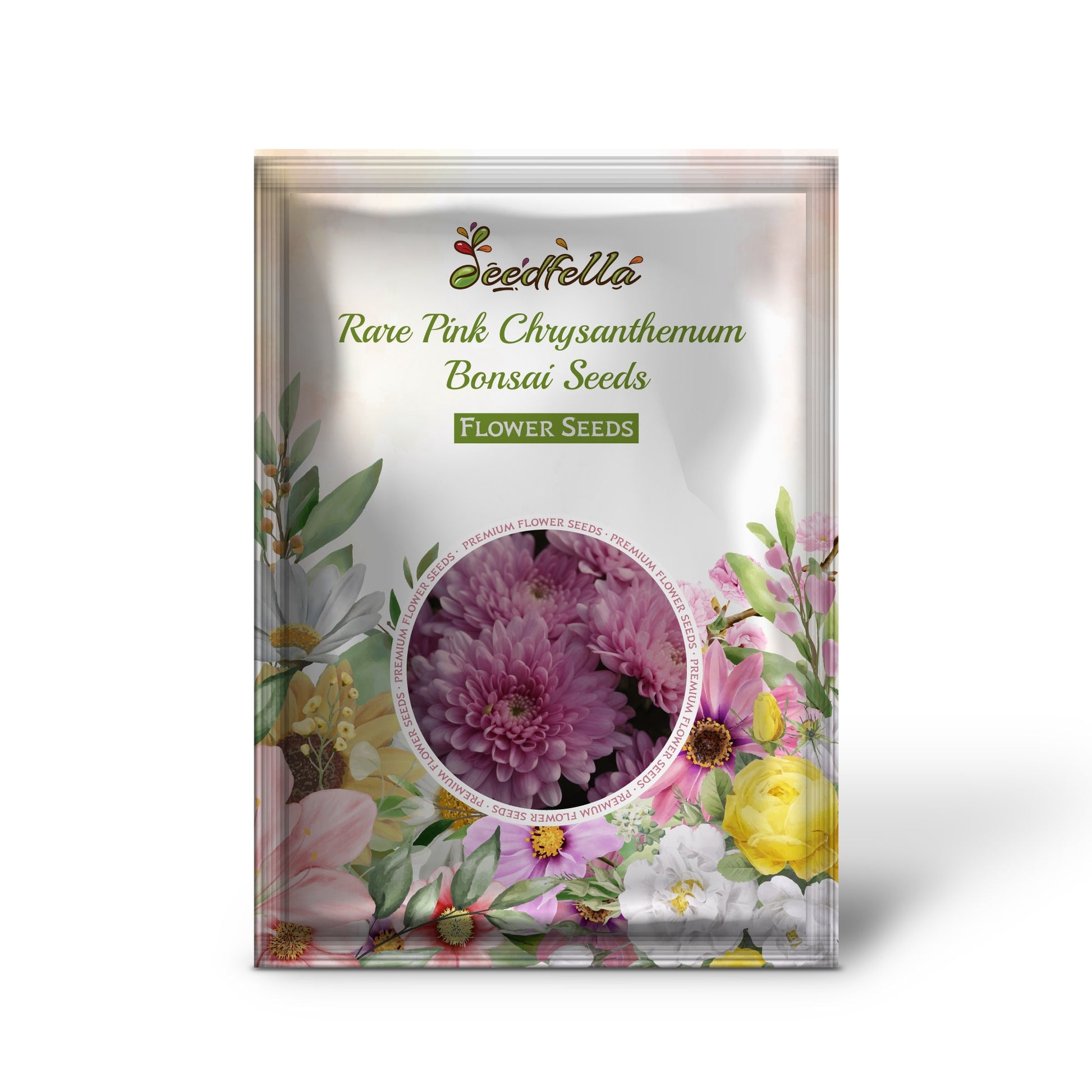 Rare Pink Chrysanthemum Bonsai Seeds for Planting