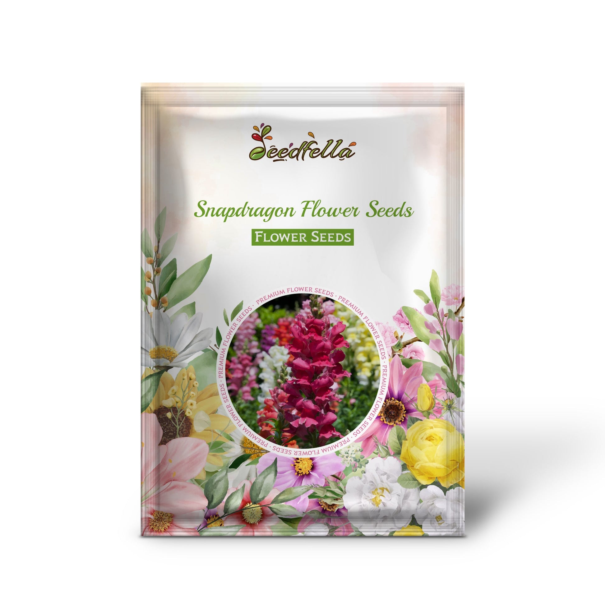 Snapdragon Flower Seeds for Planting  Colorful Annual & Biennial Garden Blooms