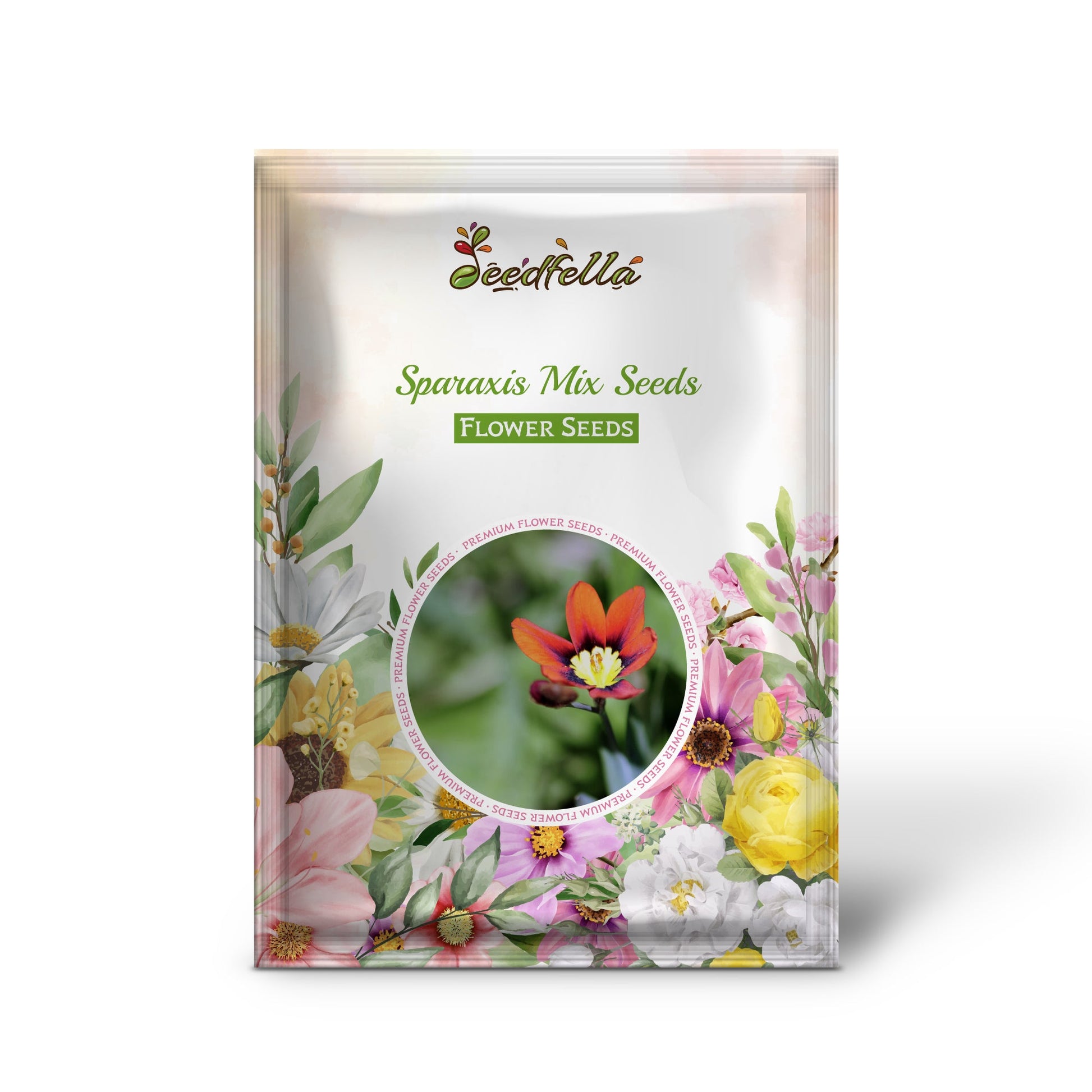 Sparaxis Mix Seeds for Planting  Colorful Garden Flowers