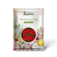 Milii Red Flower Seeds for Planting | Vibrant Annuals for Your Garden