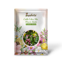 Calla Lilies Mix Flower Seeds for Planting | Vibrant Colorful Blooms