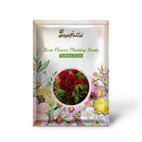 Rose Flower Planting Seeds