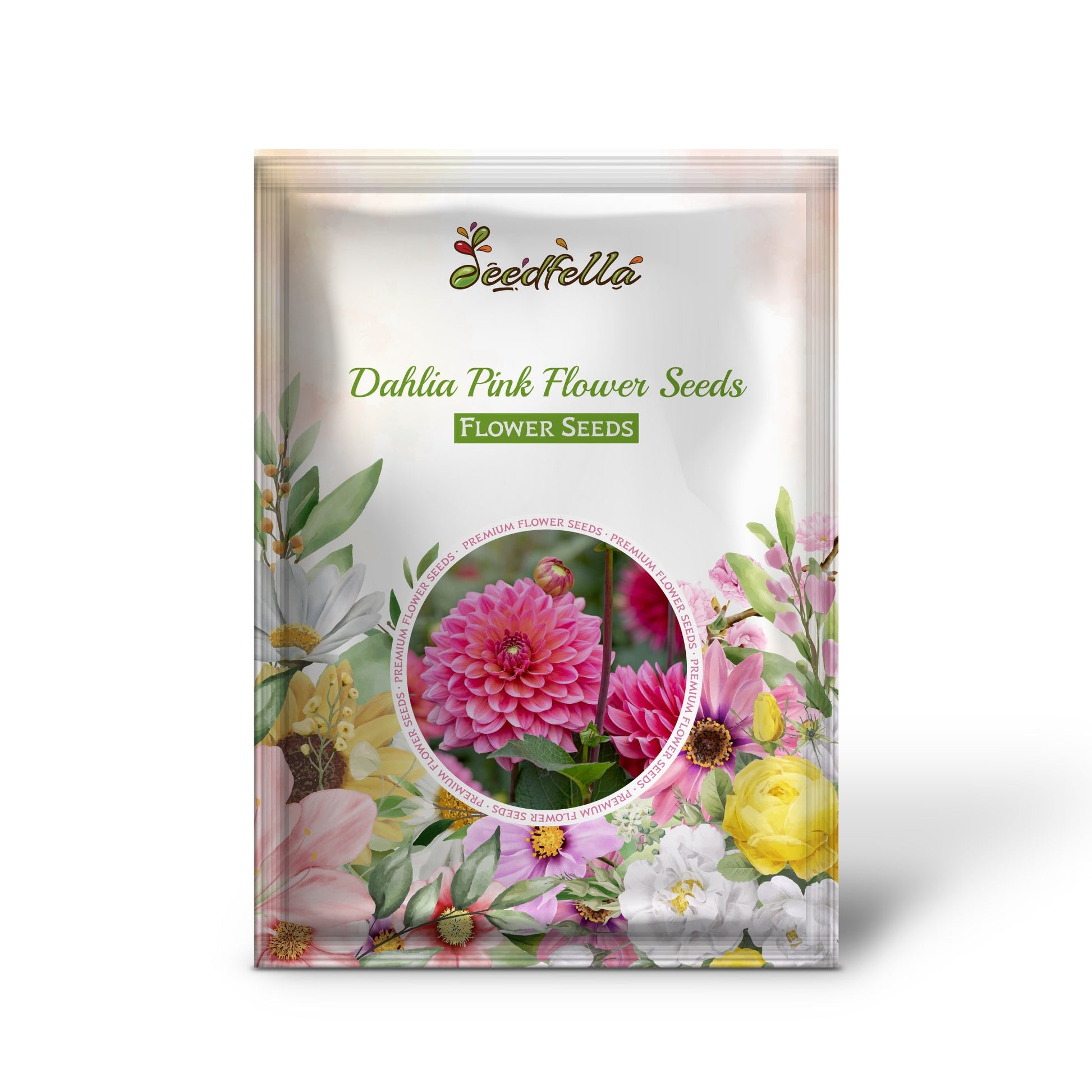 Dahlia Pink Flower Seeds for Planting  Vibrant Blooms for Your Garden