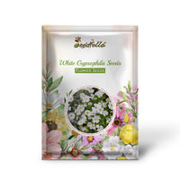 White Gypsophila Seeds for Planting  Seed for Creating Elegant White Florals in Your Garden