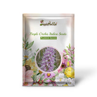 Purple Orchis Italica Seeds for Planting  Vibrant Perennial Blooms