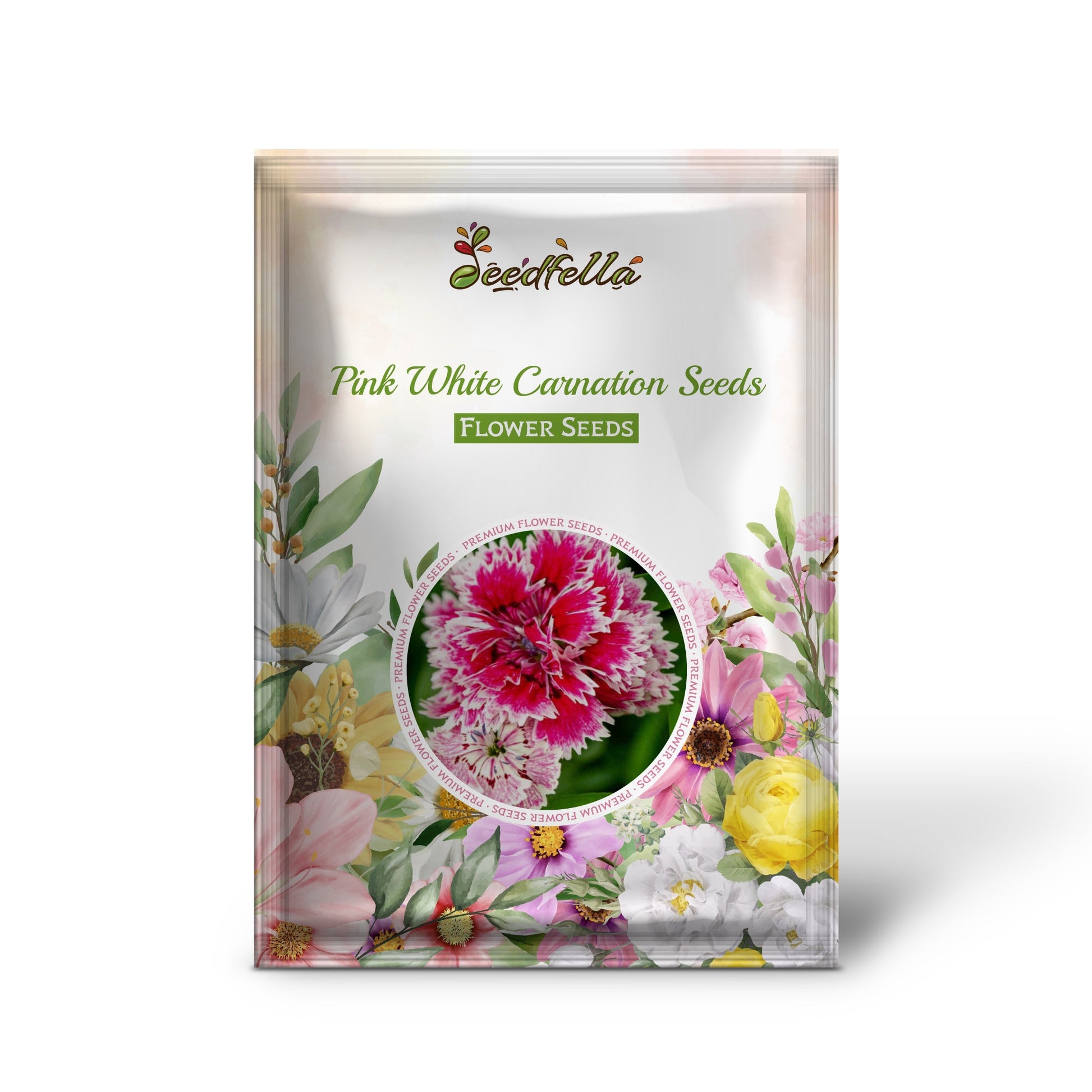 Pink White Carnation Seeds for Planting | Vibrant Annual Flower Seeds for Your Garden