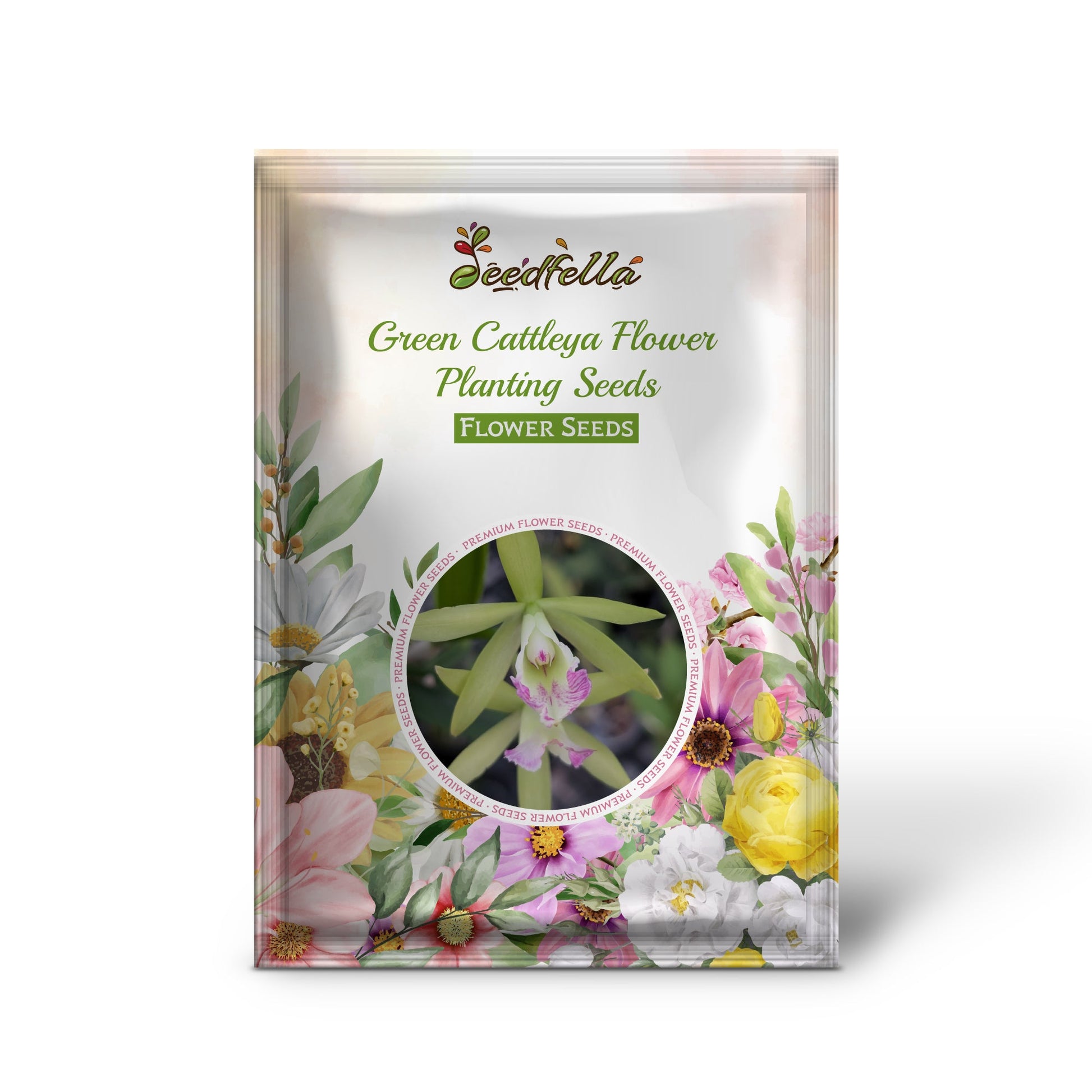 Green Cattleya Flower Planting Seeds for Vibrant Blooms