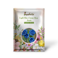 Light Blue Osiria Rose Seeds for Planting - Unique Flower Variety