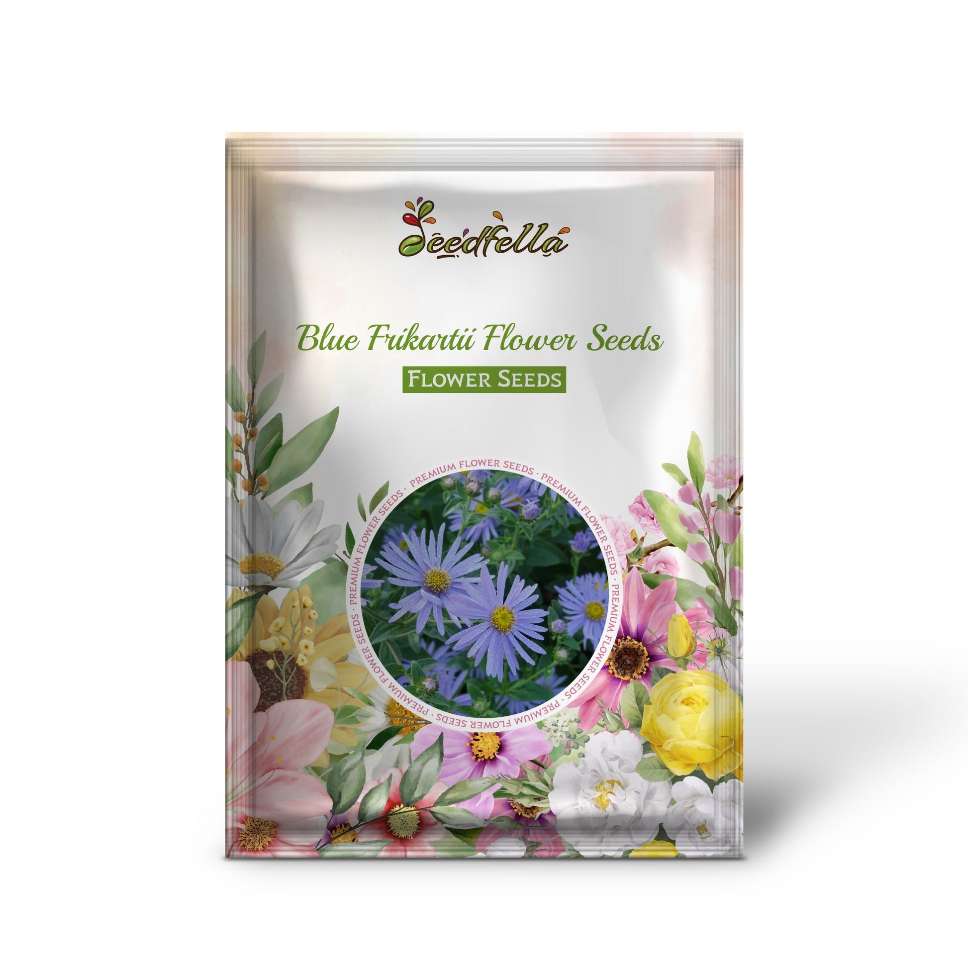 Blue Frikartii Flower Seeds for Planting