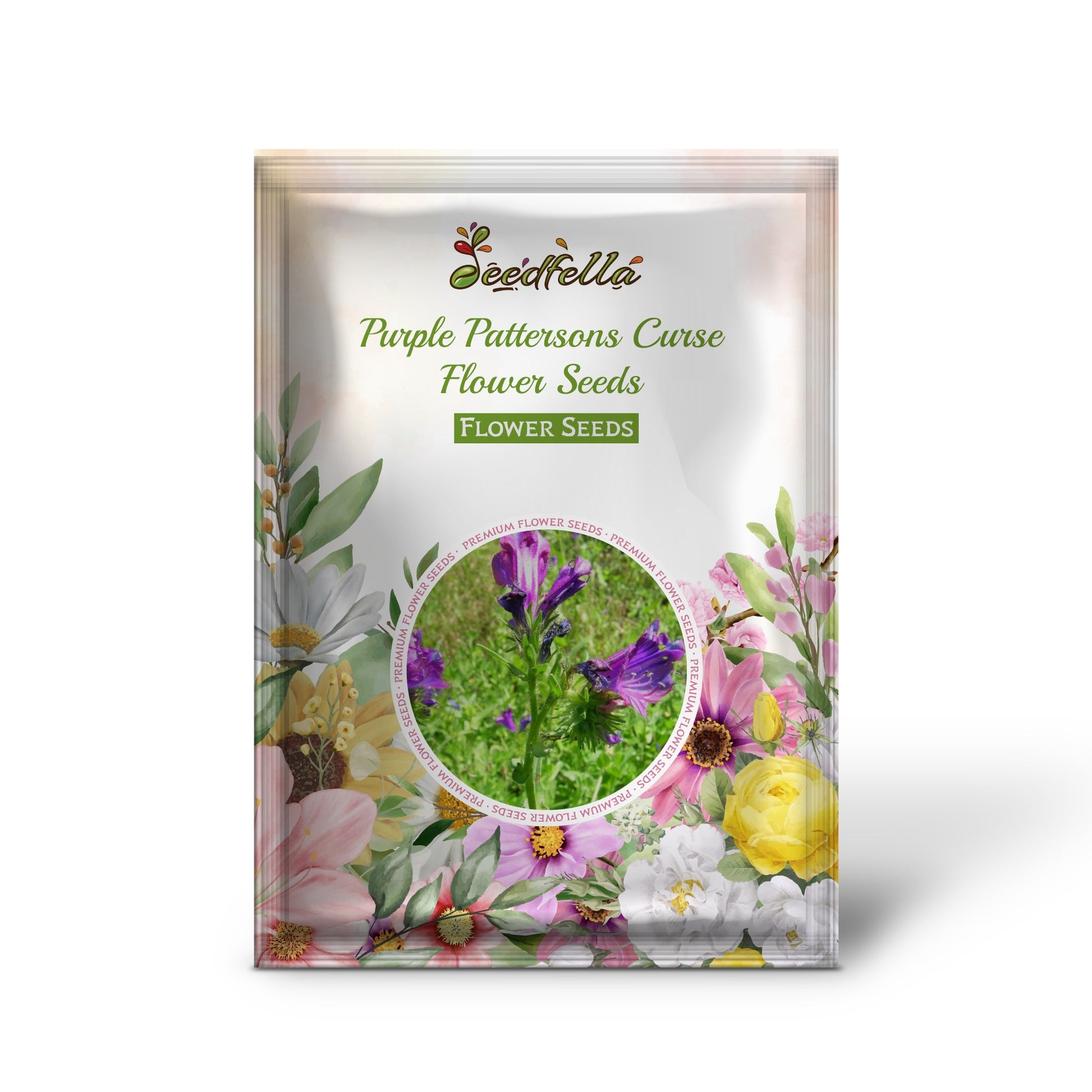 Purple Pattersons Curse Flower Seeds for Easy Planting